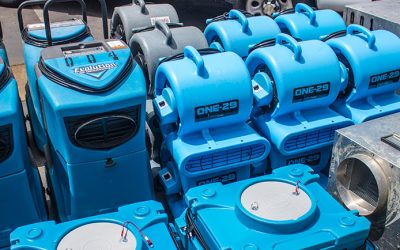 What To Do Immediately After Water Damage In Your Home