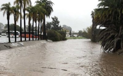 Flood Damage vs Water Damage Insurance: What Property Owners Should Know